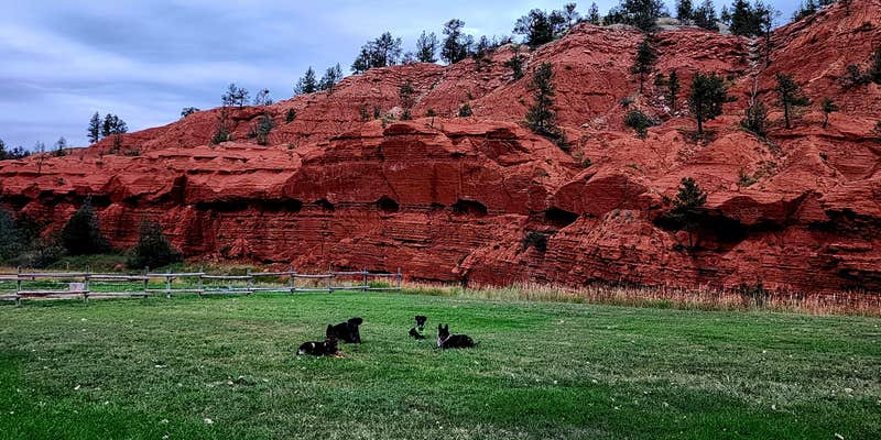 Camper submitted image from Tower Valley RV Park