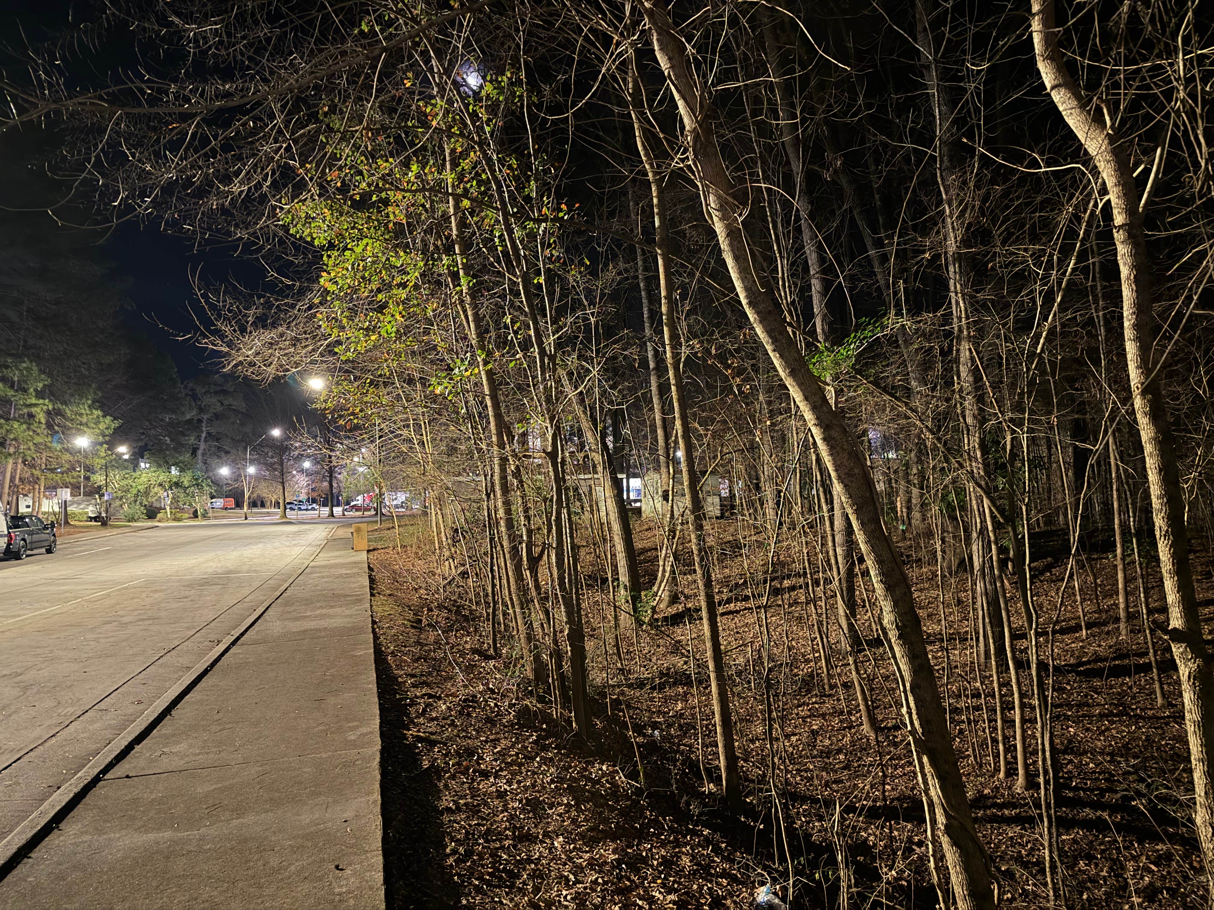 Camper submitted image from Towers Arm Cabin - 4