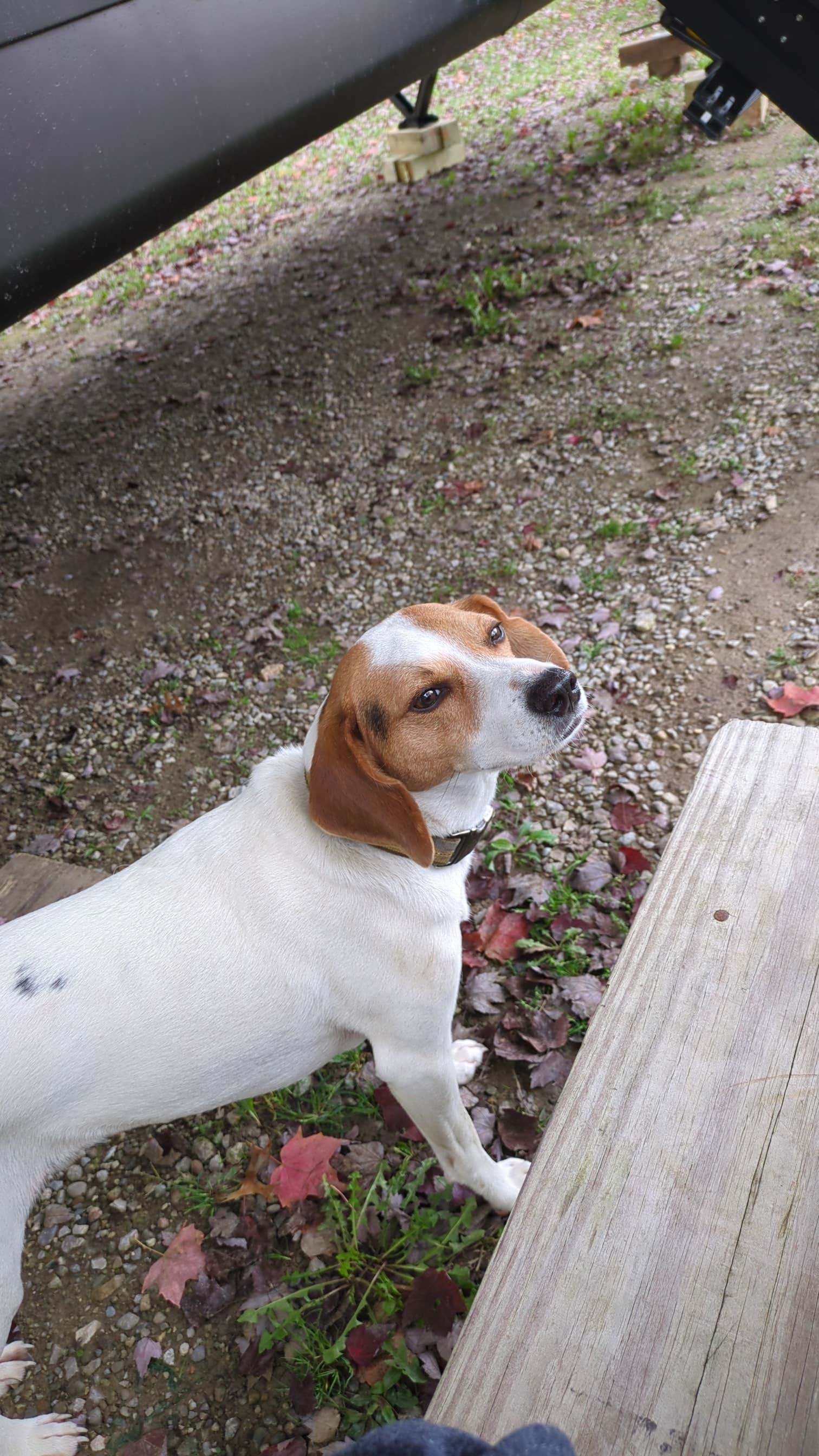 Camper-submitted photo at Town and Country Camp Resort near Lodi, OH