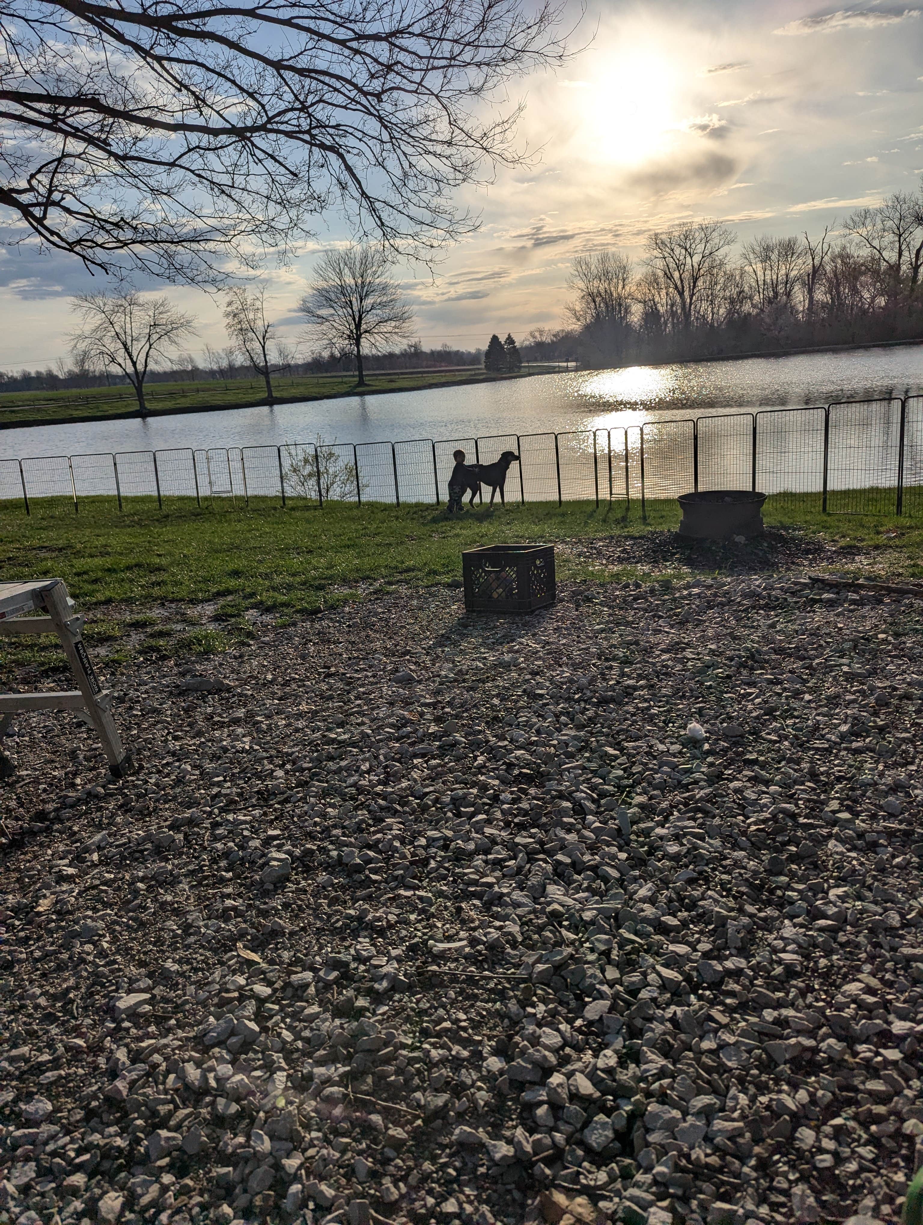 drew W.'s photo of camping with pets at Town and Country Lakes near Glen Carbon, IL