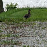 Review photo of Town and Country Lakes by drew W., May 28, 2025