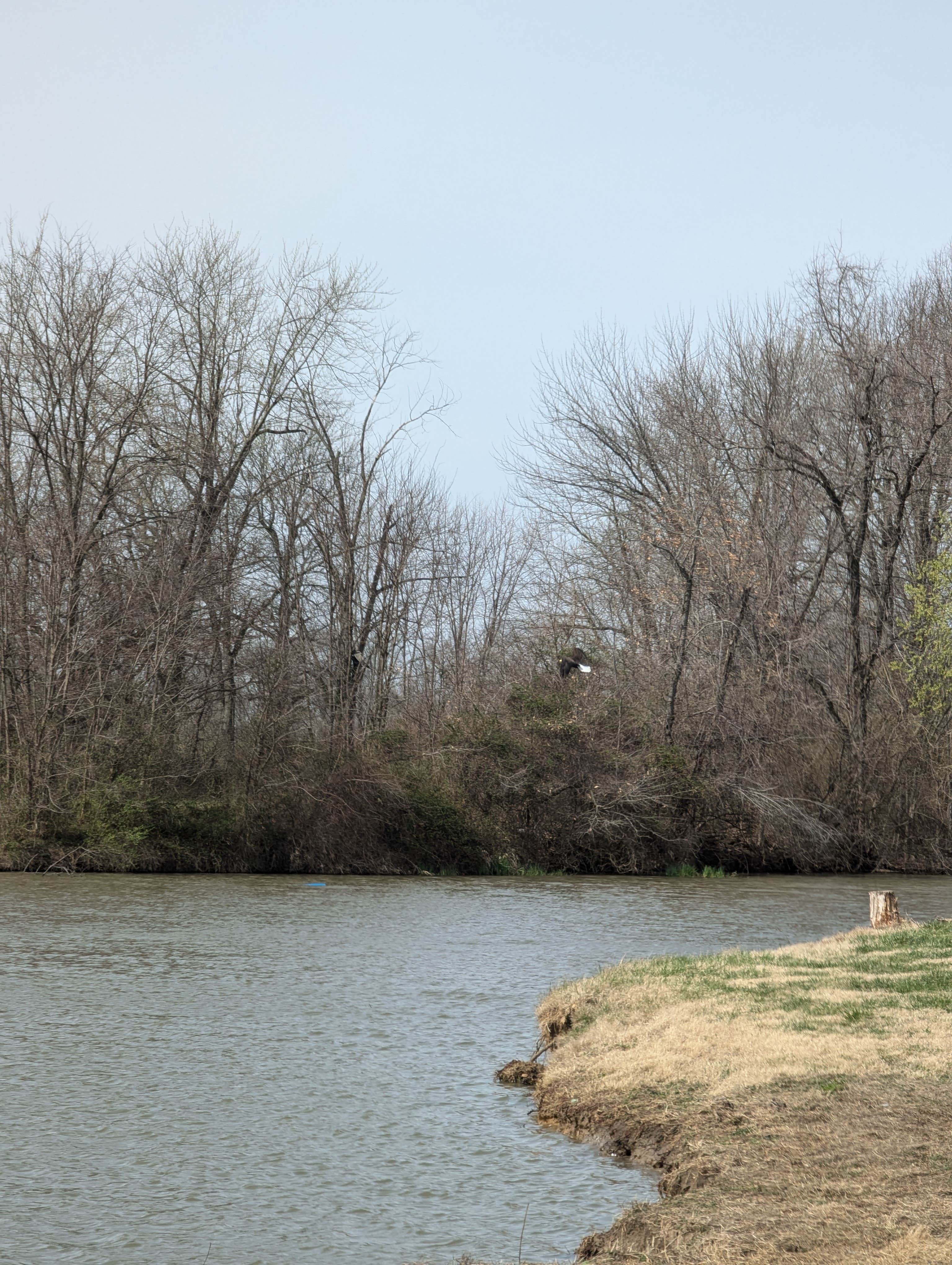 Camper submitted image from Town and Country Lakes - 3