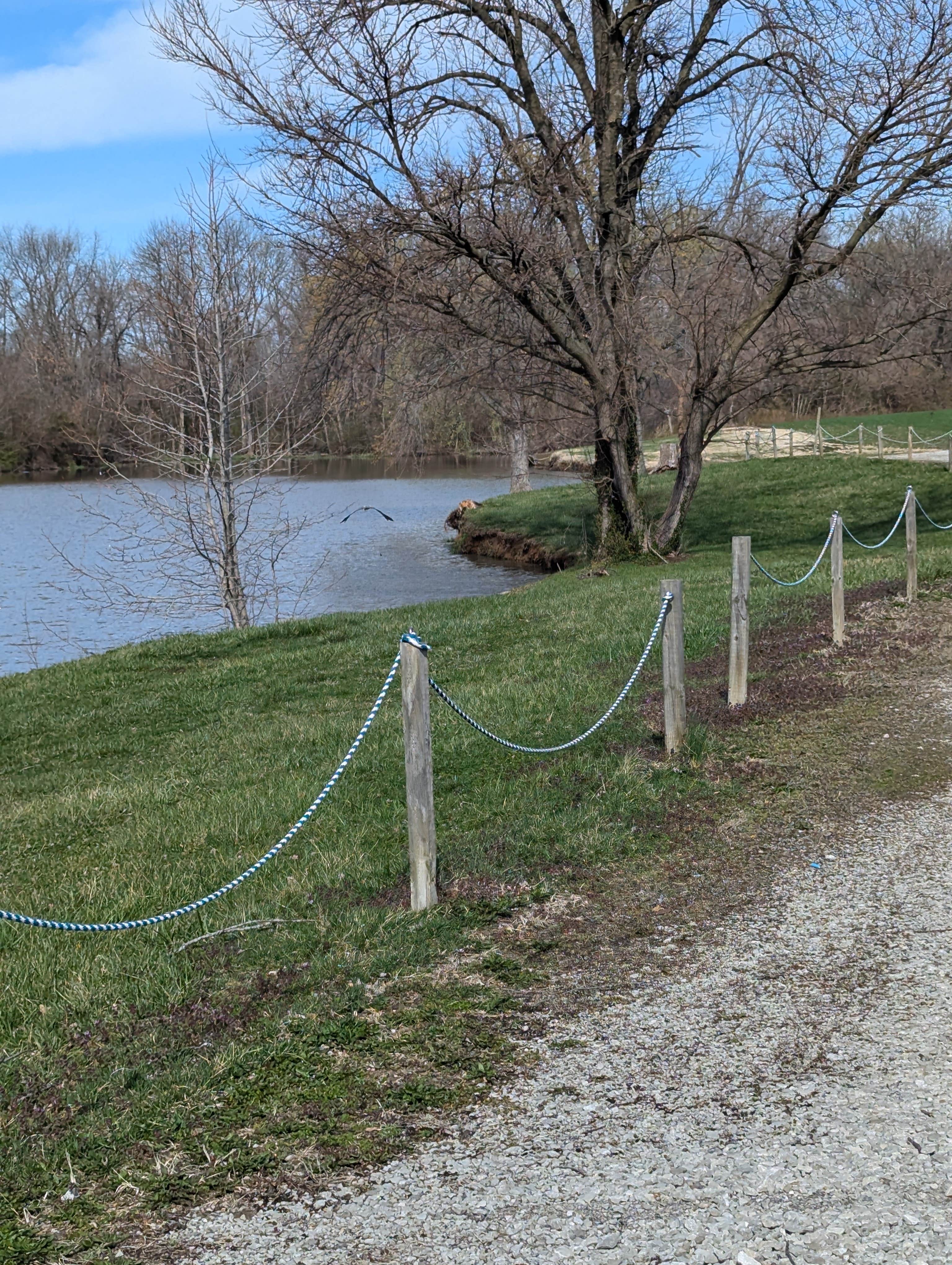 Camper submitted image from Town and Country Lakes - 5