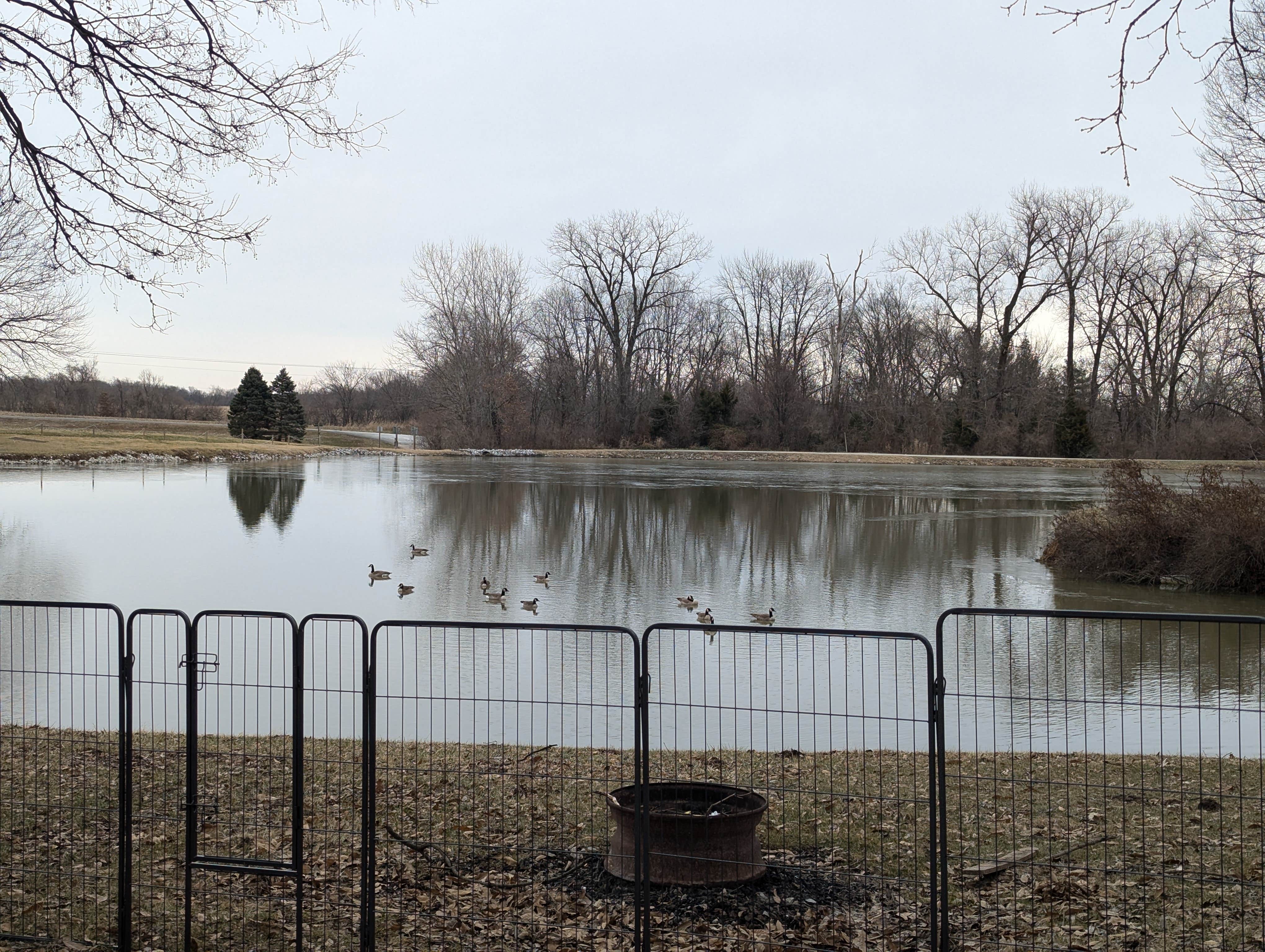 Camper submitted image from Town and Country Lakes - 4