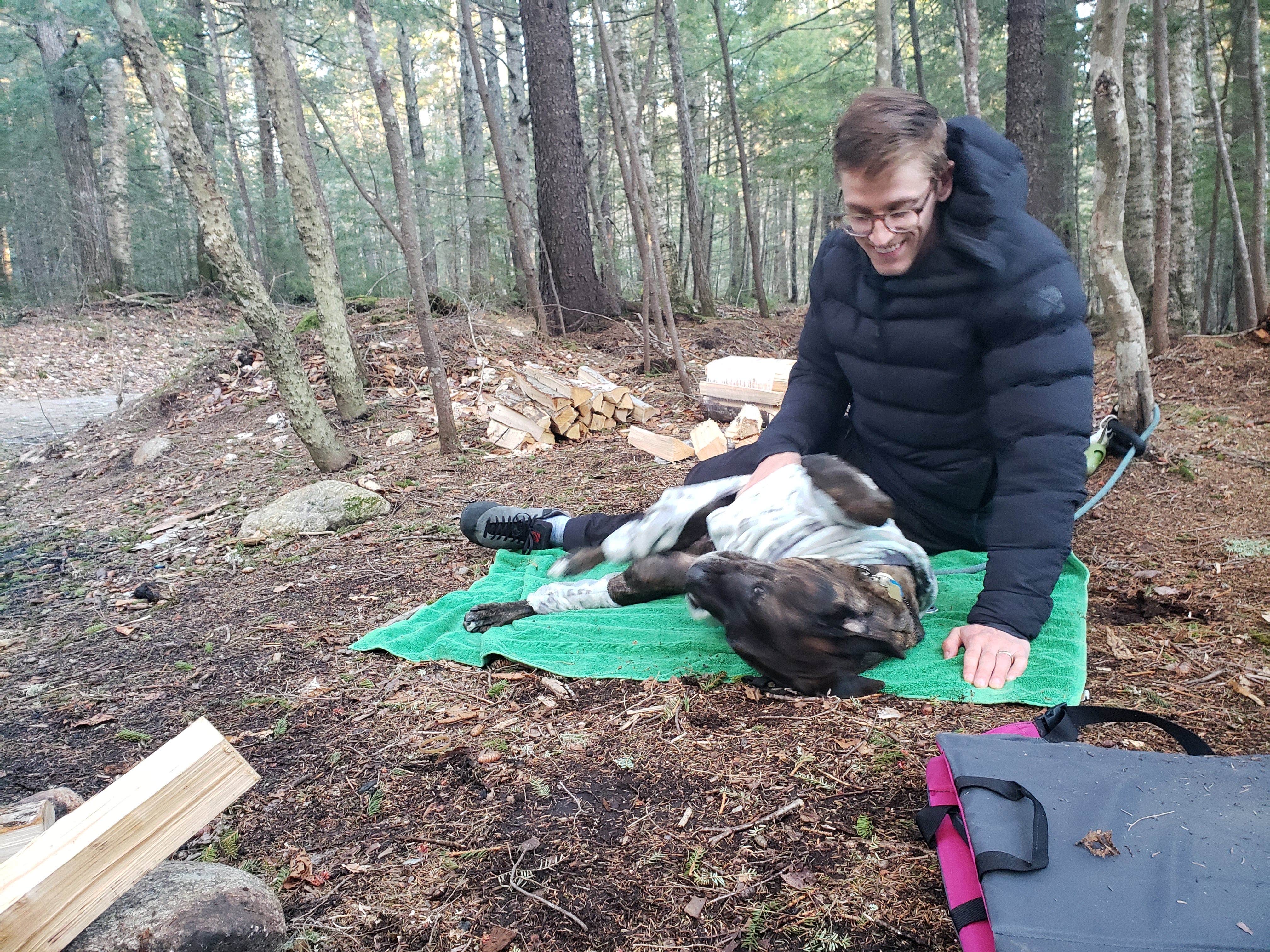 Les R.'s photo of camping with pets at Town Hall Road Dispersed near Stow, ME