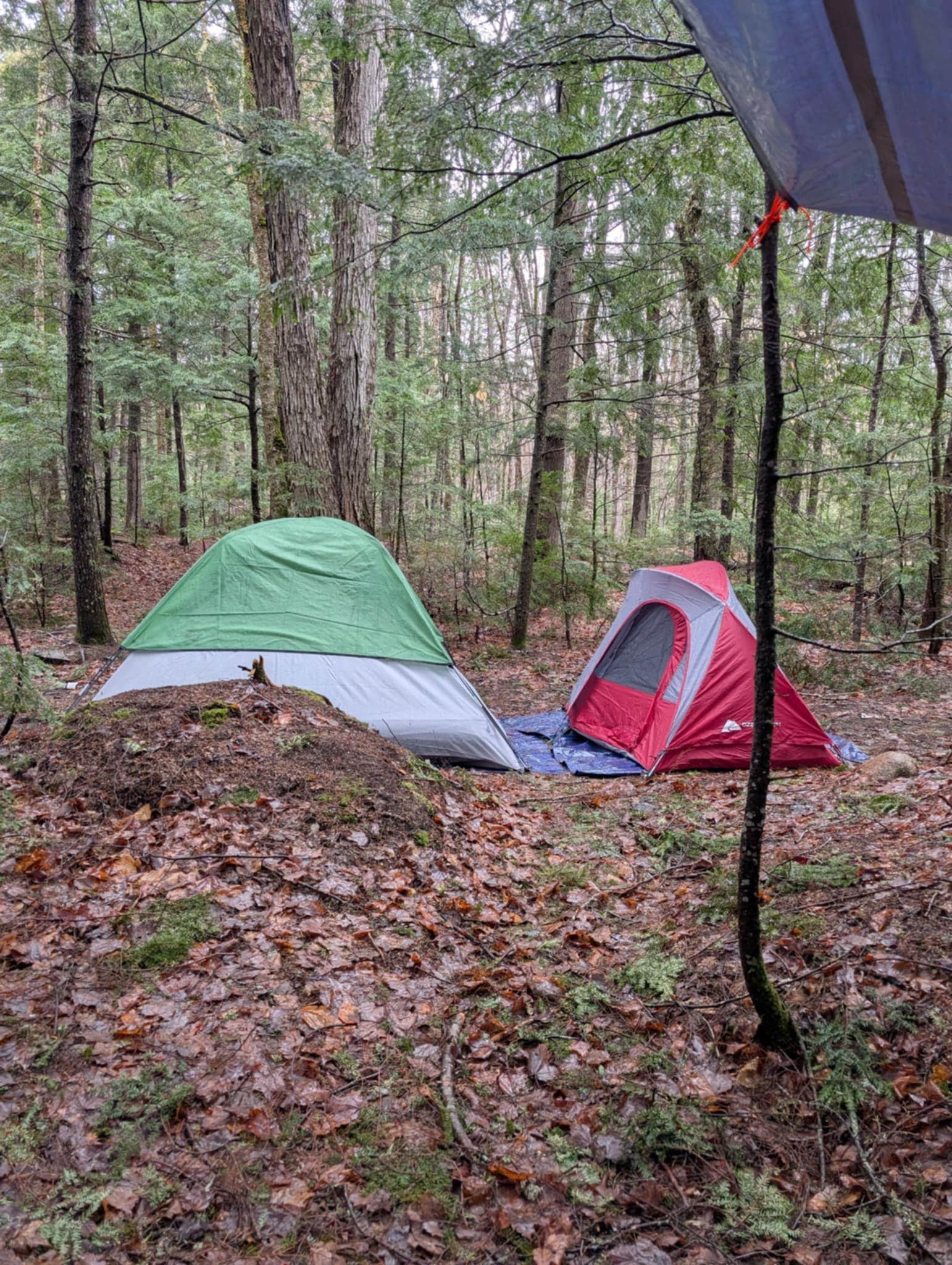 Camper-submitted photo at Town Hall Road Dispersed near Peru, ME