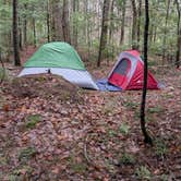 Review photo of Town Hall Road Dispersed by Rowan E., May 4, 2025