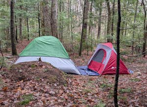 Town Hall Road Dispersed