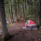 Review photo of Town Hall Road Dispersed by Jake C., June 29, 2026