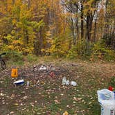Review photo of Town Hall Road Dispersed by Senona C., October 9, 2026