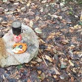 Review photo of Town Hall Road Dispersed by Sue B., April 11, 2026