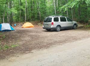 Town Hall Road Dispersed