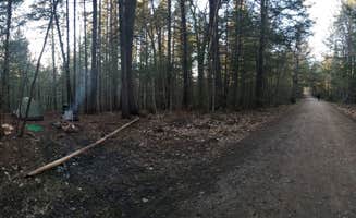 Les R.'s photo of a dispersed camping area at Town Hall Road Dispersed near White Mountain National Forest