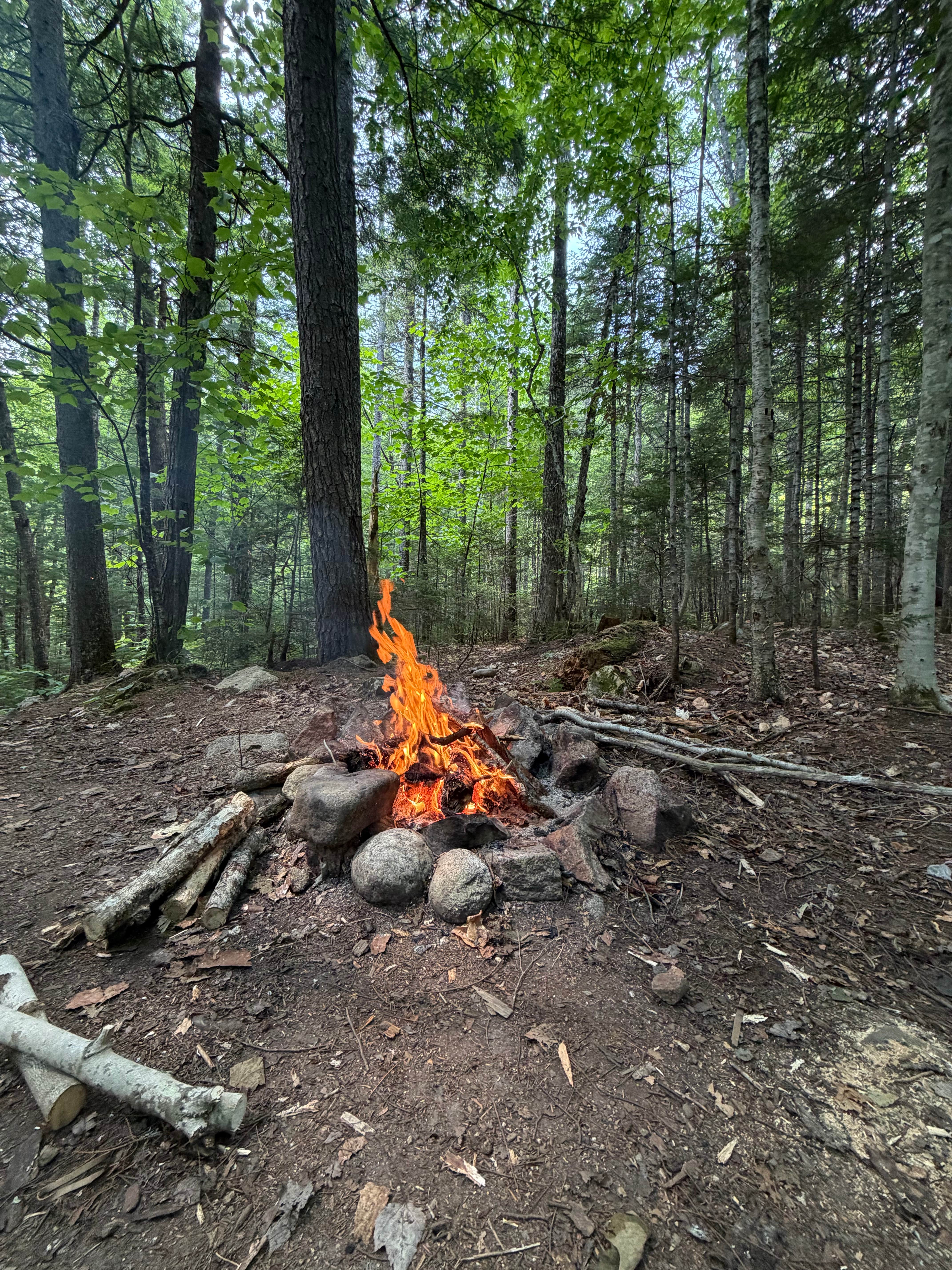 Camper-submitted photo at Town Hall Road Dispersed in New Hampshire