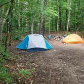 Review photo of Town Hall Road Dispersed by Sue B., April 11, 2026