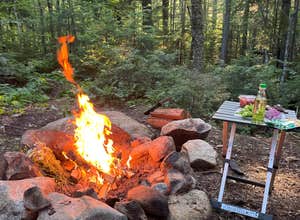 Town Hall Road Dispersed