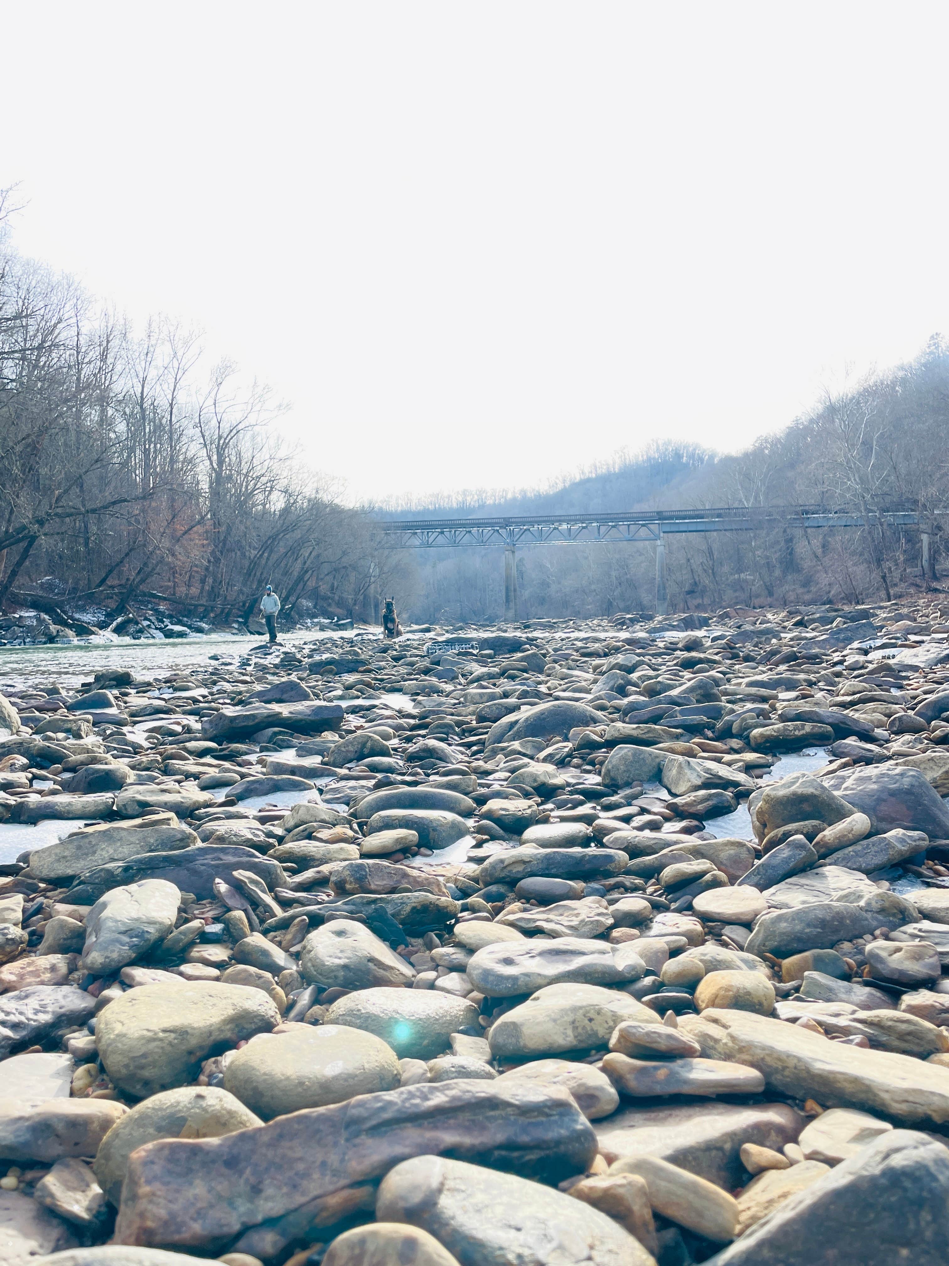 Camper-submitted photo at Trace Branch Dispersed - Rock Creek Road near Stearns, KY