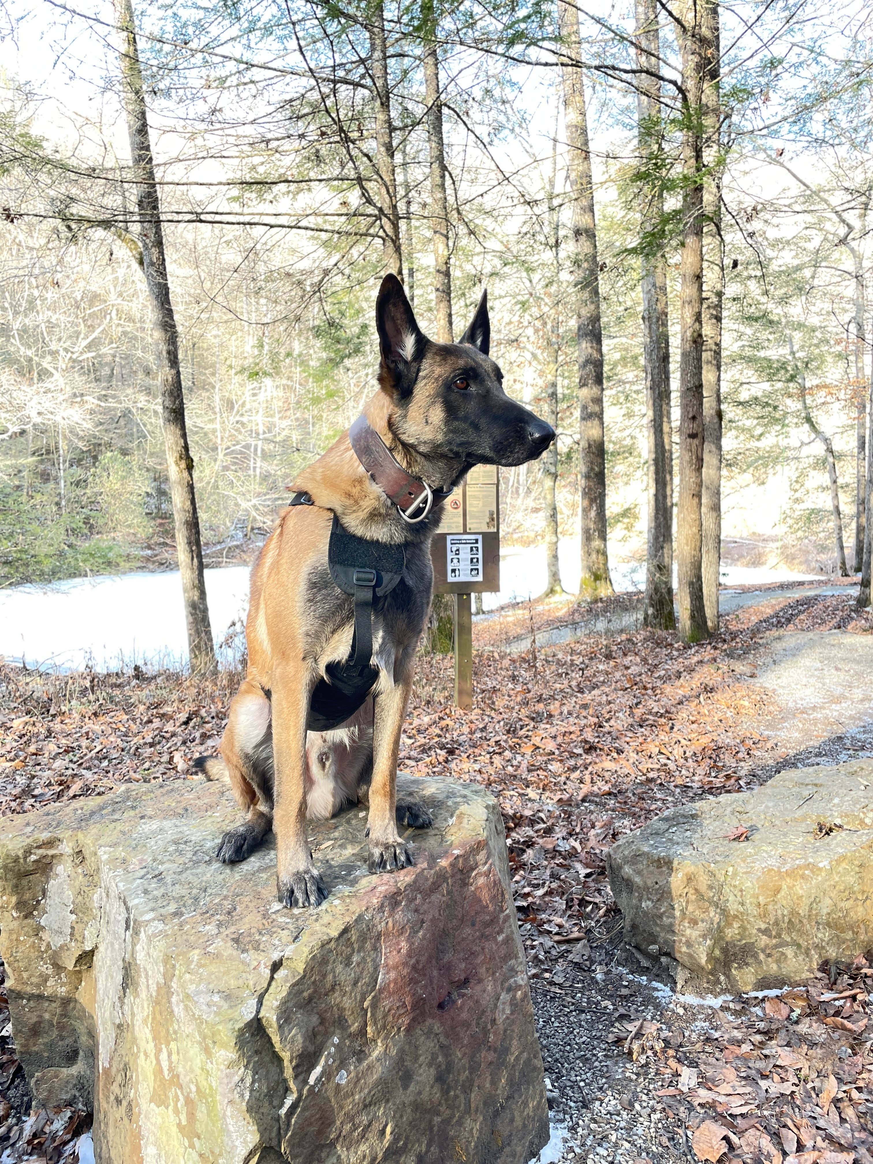 Camper-submitted photo at Trace Branch Dispersed - Rock Creek Road near Byrdstown, TN
