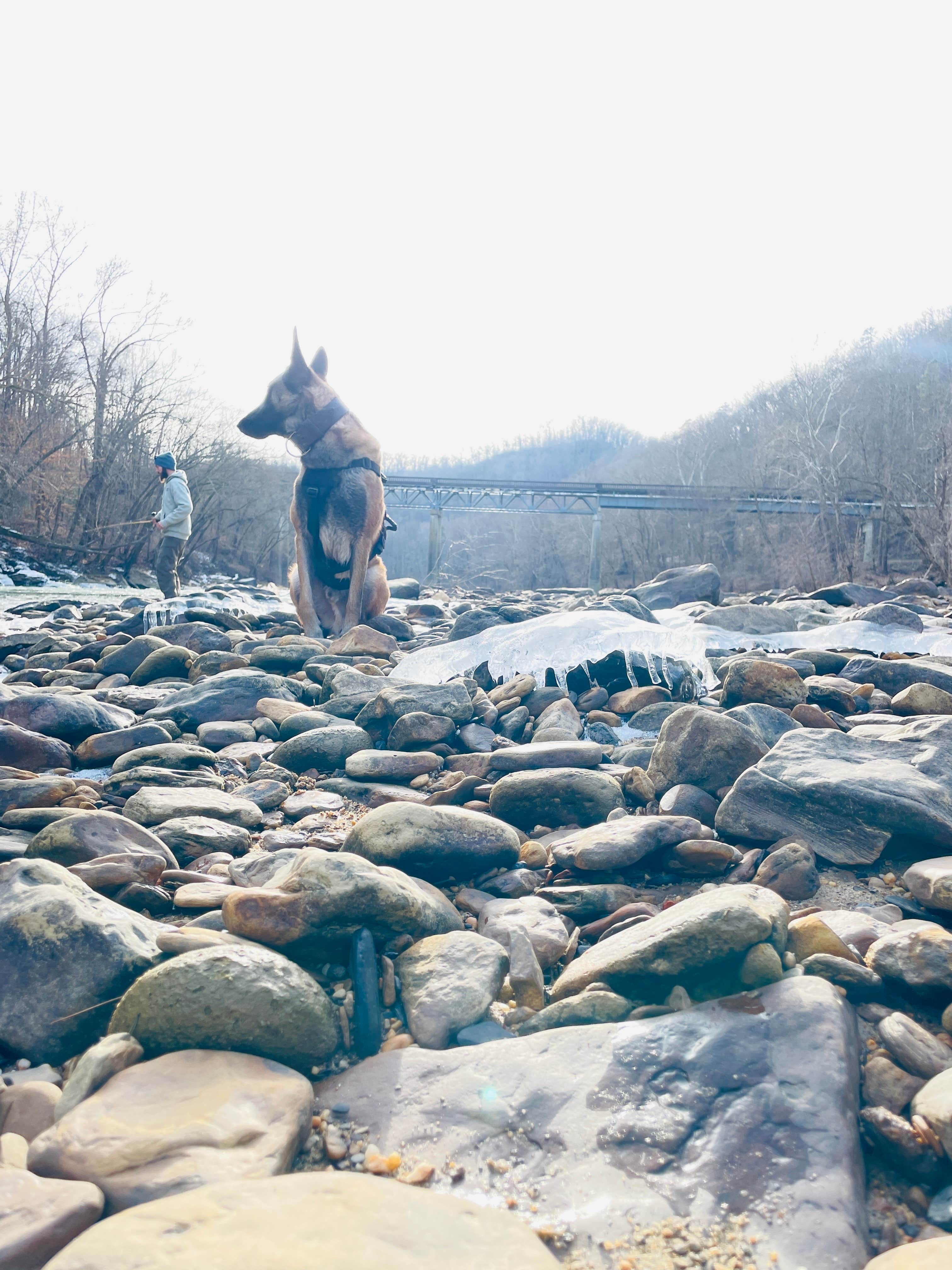 Camper-submitted photo at Trace Branch Dispersed - Rock Creek Road near Byrdstown, TN