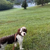 Review photo of Trackrock Campground & Cabins by Eleanor the Airstream R., July 8, 2024