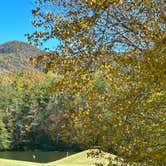 Review photo of Trackrock Campground & Cabins by Carolyn V., October 25, 2024