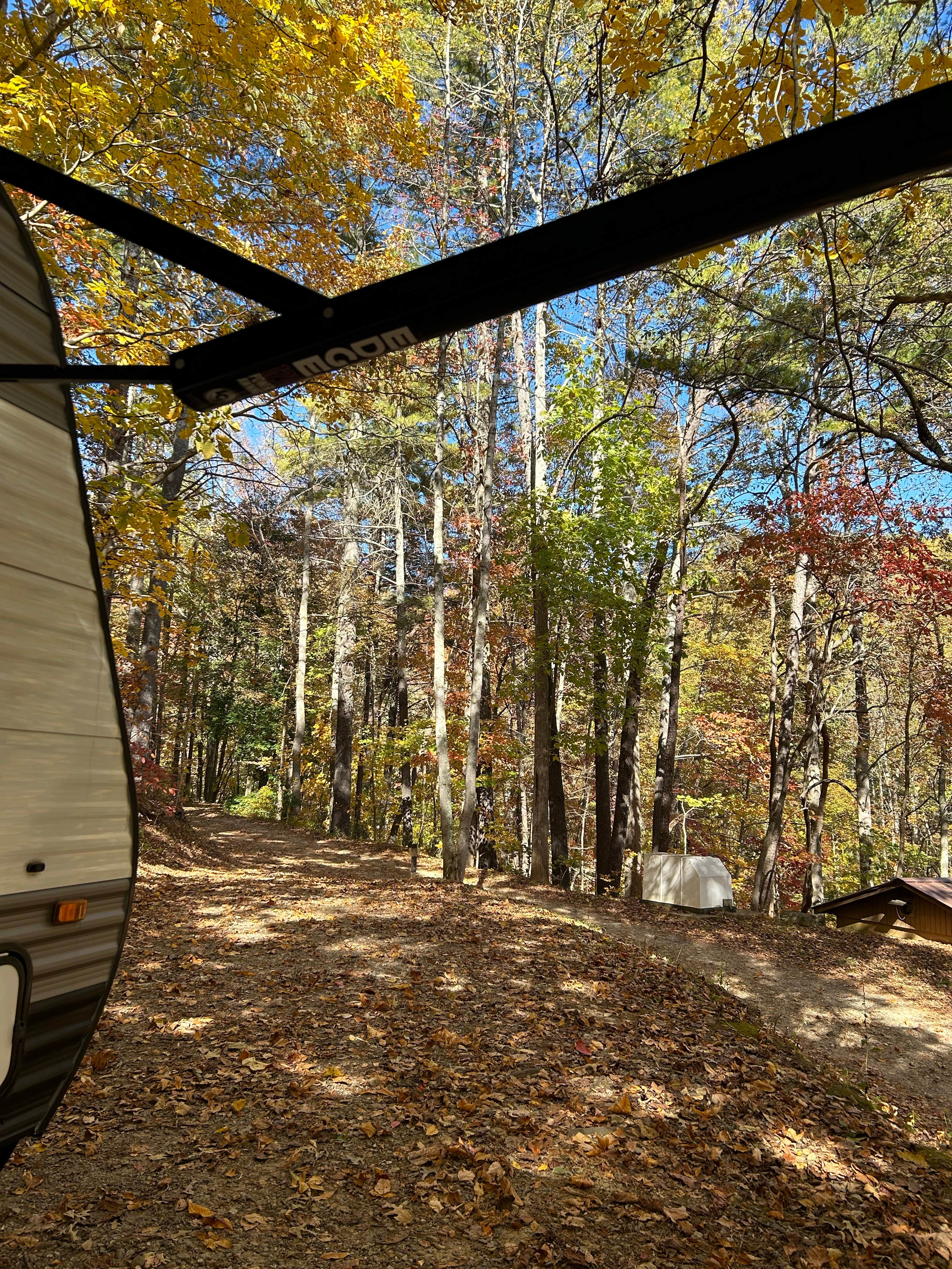 Carolyn V.'s photo at Trackrock Campground & Cabins near Blairsville, GA