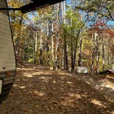 Review photo of Trackrock Campground & Cabins by Carolyn V., October 25, 2024