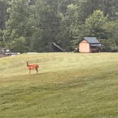 Review photo of Trackrock Campground & Cabins by Eleanor the Airstream R., July 8, 2024