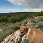 Review photo of Tracking Station Road by Jason B., September 2, 2024