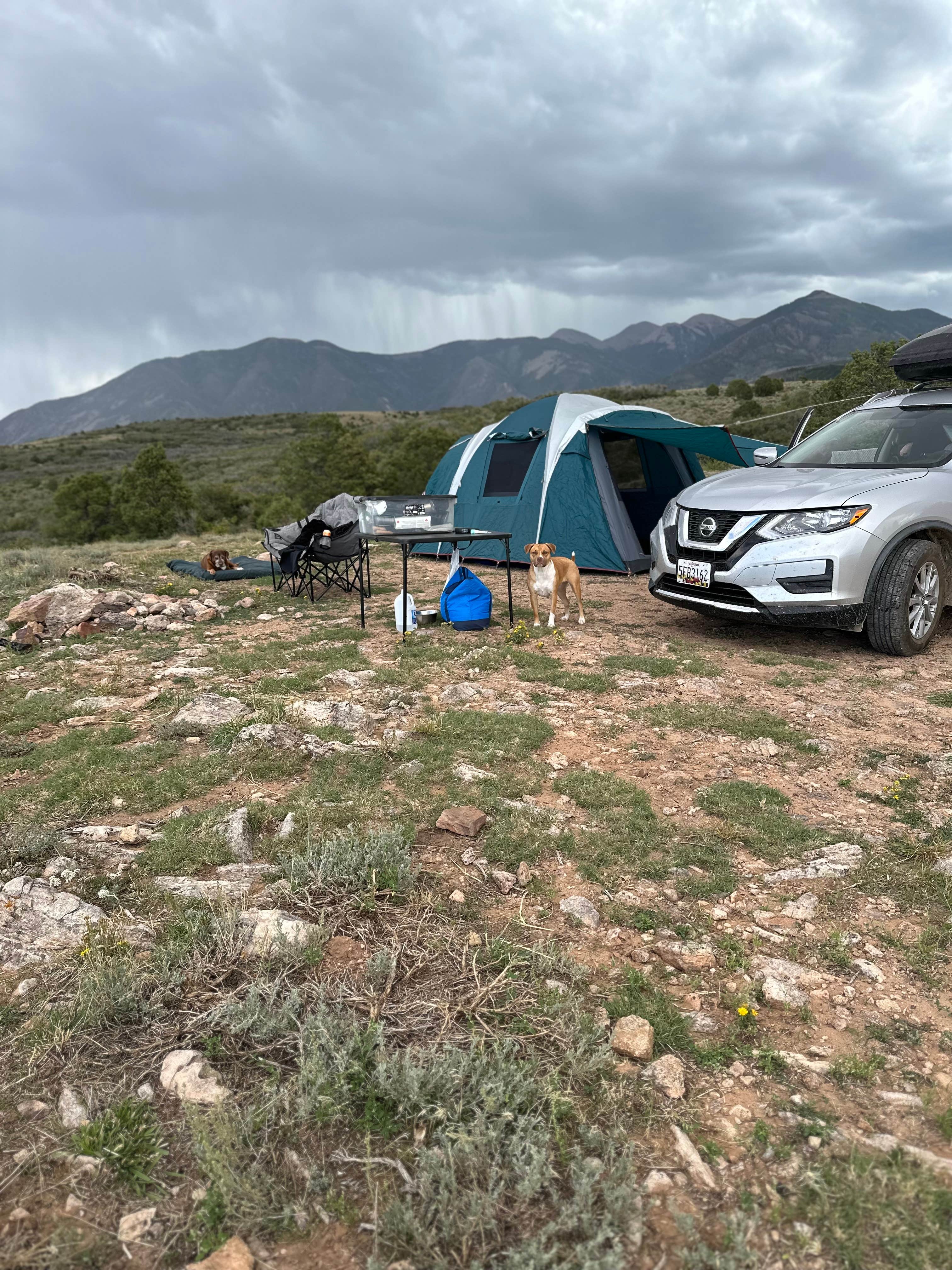Camping near Moab Overlook Dispersed Site: Tracking Station Road, Castle Valley, Utah