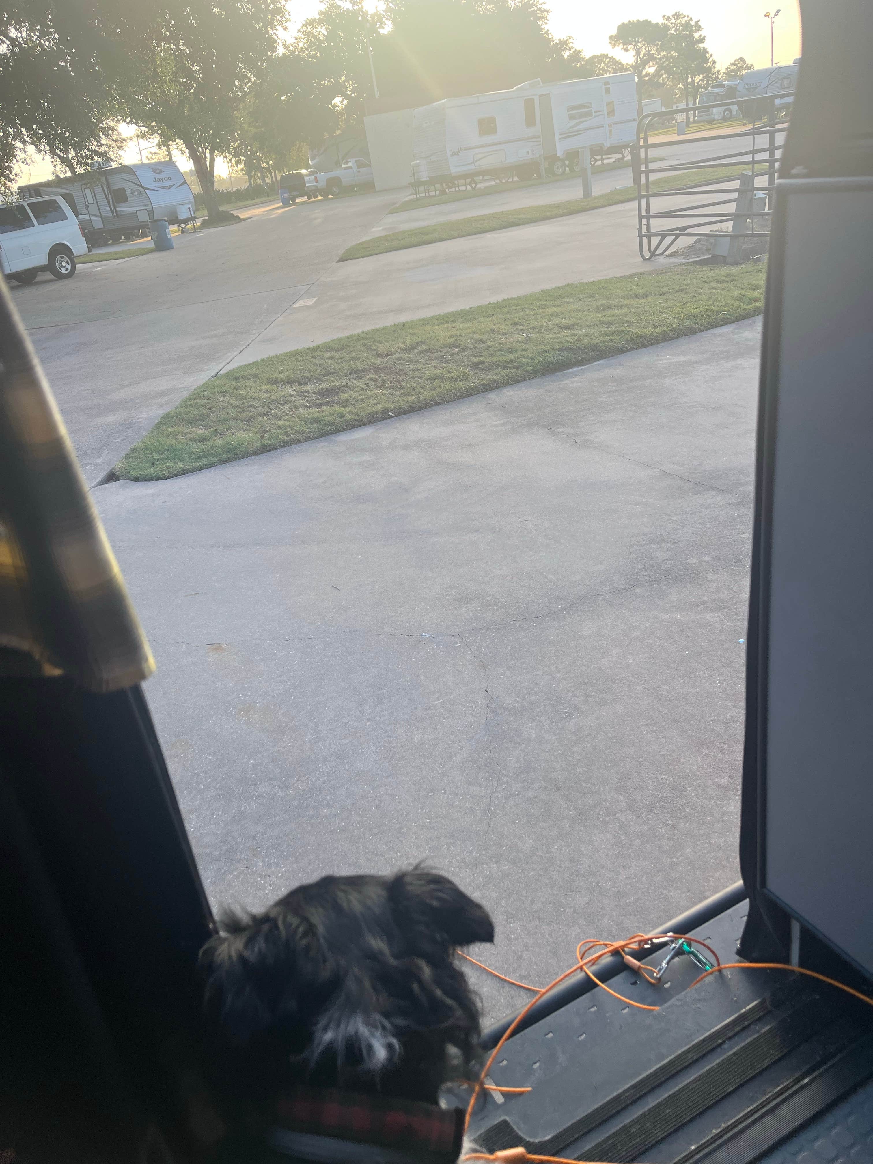 Camper-submitted photo at Traders Village RV Park near Fulshear, TX