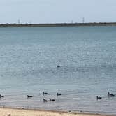 Review photo of Tradinghouse Lake Park Camping by Virginia E., March 24, 2026