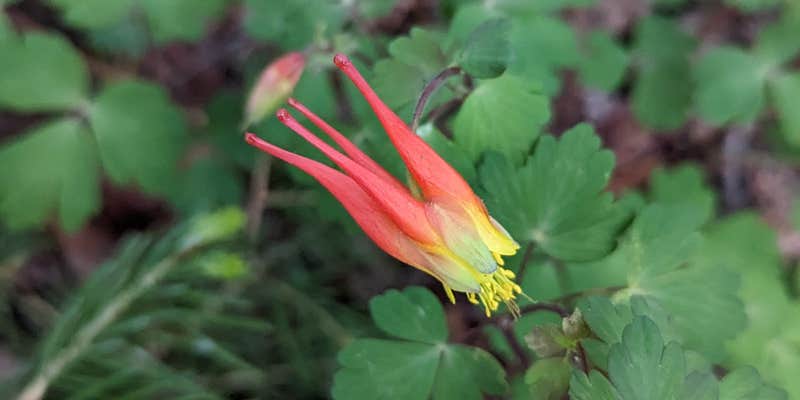 Camper submitted image from Trail Creek Dispersed Camping