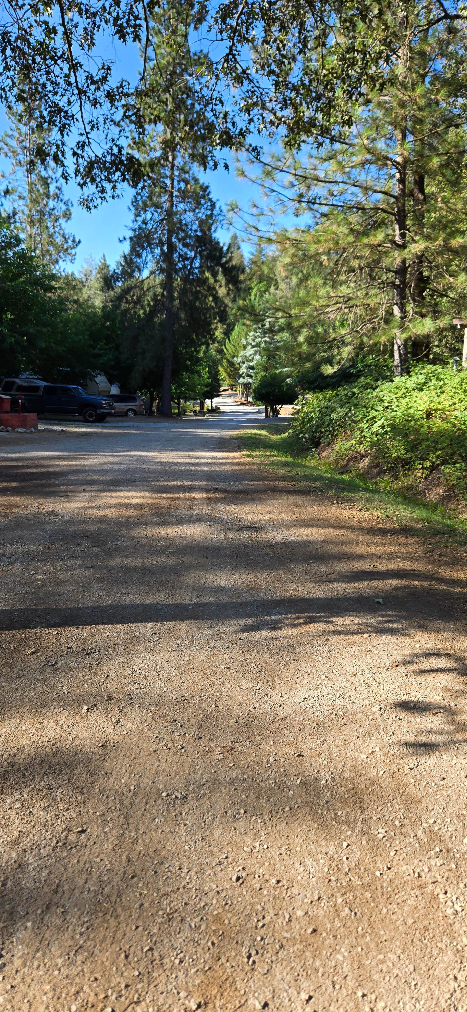 Camper-submitted photo at Trail In RV Campground near Trinity Center, CA