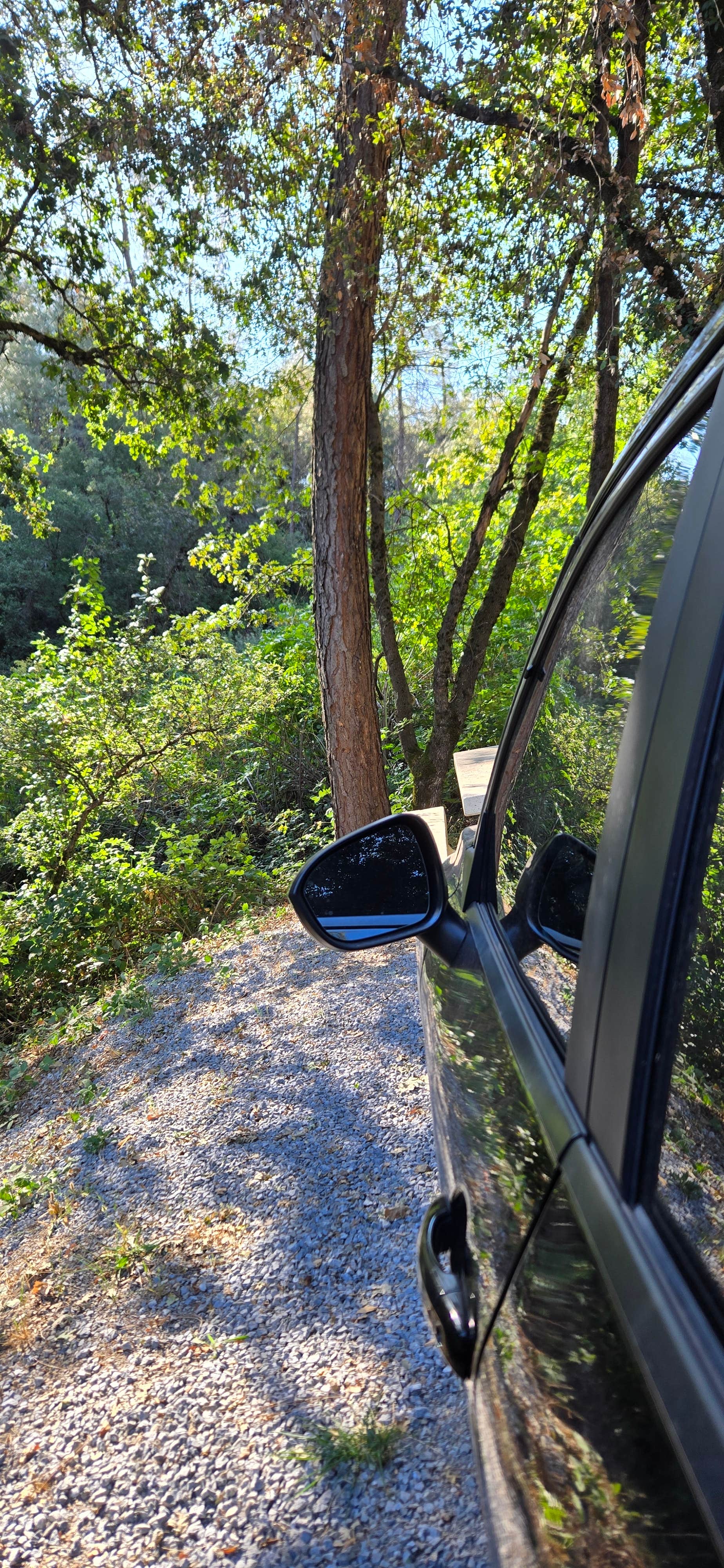 Camper-submitted photo at Trail In RV Campground near Trinity Center, CA