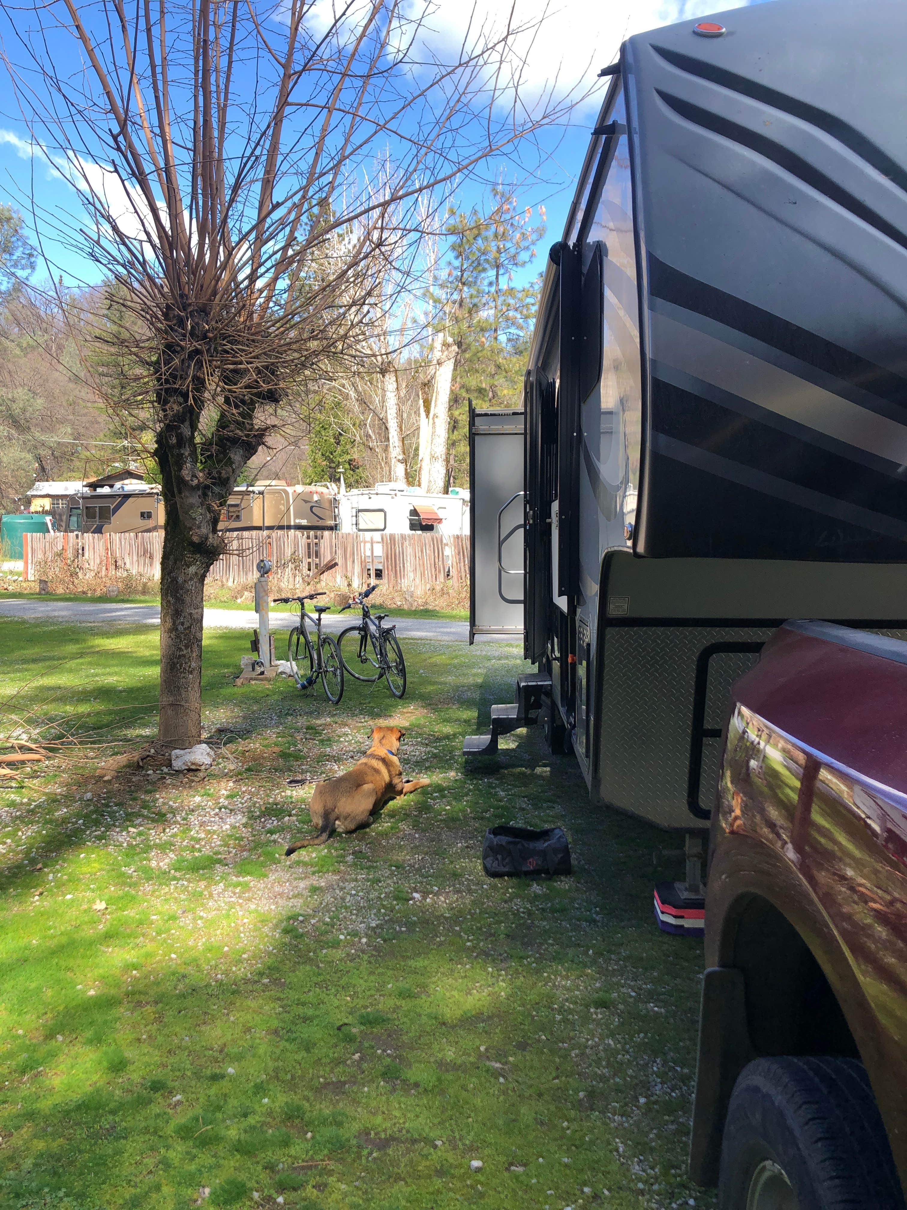 Elizabeth O.'s photo of rv camping at Trail In RV Park & Campground near Hat Creek, CA