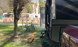 Elizabeth O.'s photo of rv camping at Trail In RV Park & Campground near Redding, CA