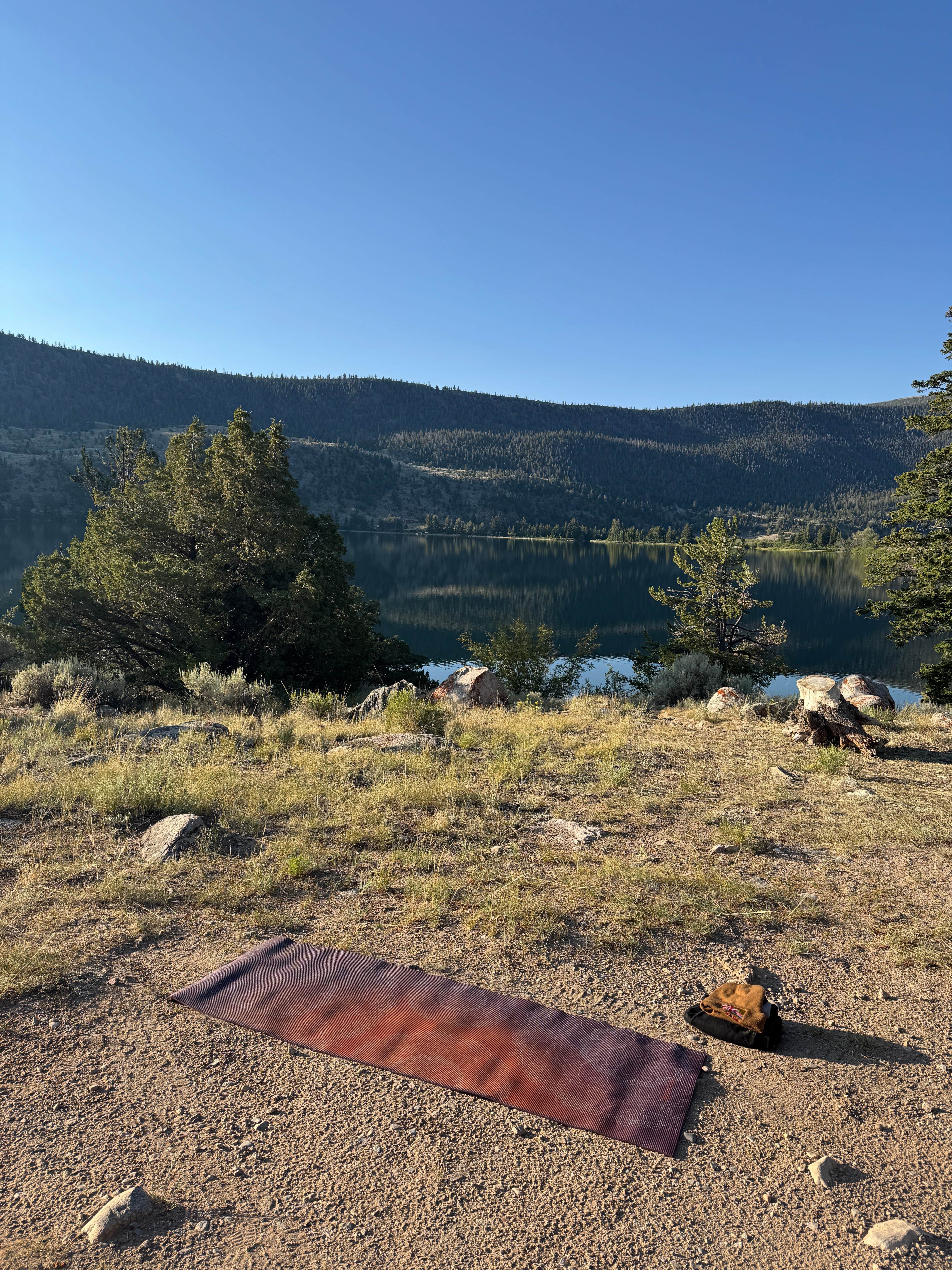 Camper-submitted photo at Trail Lake Dispersed Sites near Dubois, WY