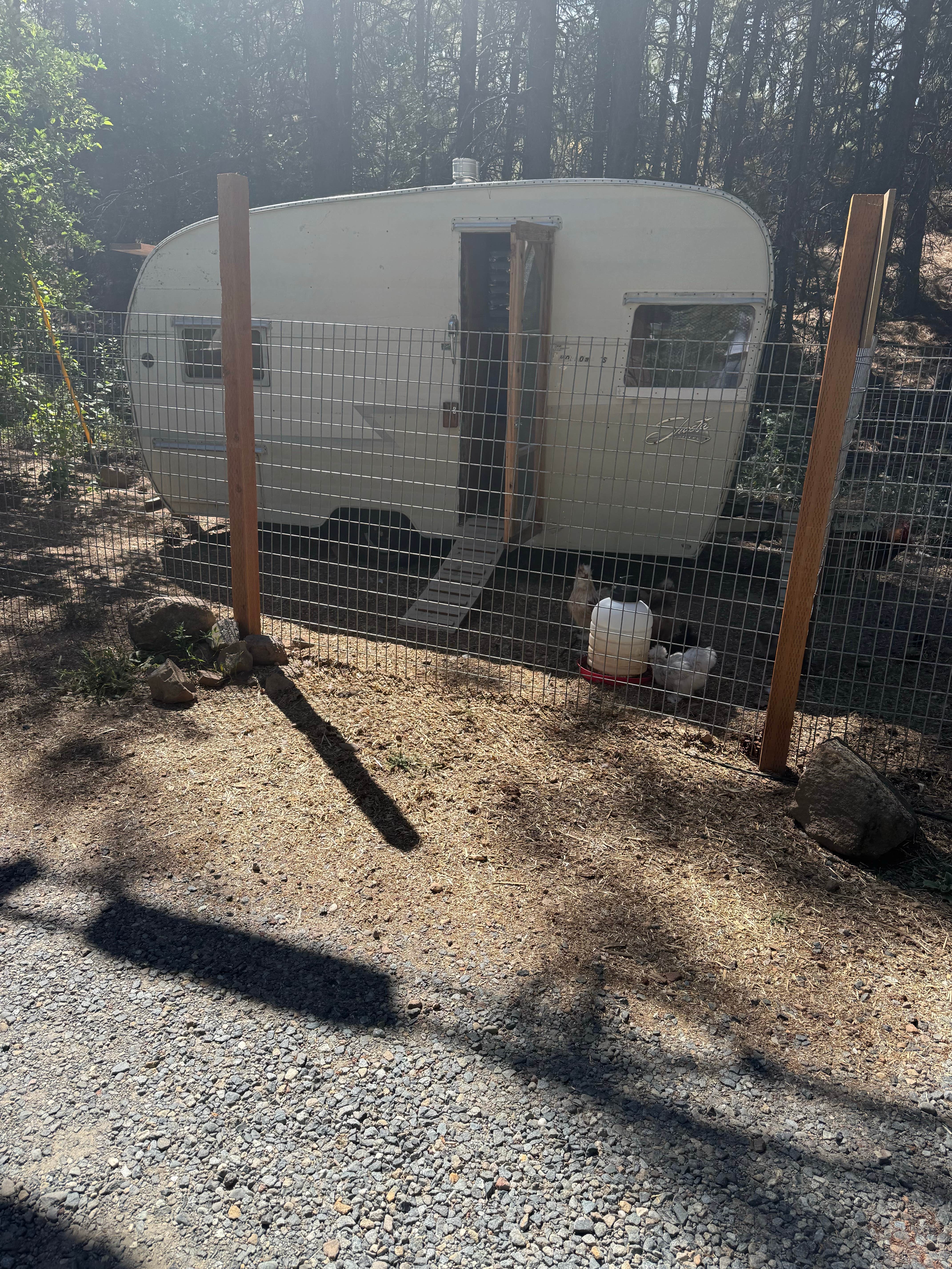 Daniel A.'s photo of rv camping at Trailer Lane Campground near Weed, CA