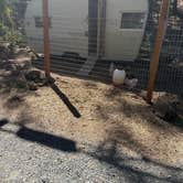 Review photo of Trailer Lane Campground by Daniel A., August 7, 2025