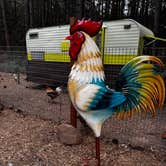 Review photo of Trailer Lane Campground by Mary , July 17, 2025