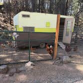 Review photo of Trailer Lane Campground by Daniel A., August 7, 2025