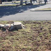 Review photo of Trailer Village RV Park — Grand Canyon National Park by Dwayne R., April 19, 2026