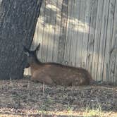 Review photo of Trailer Village RV Park — Grand Canyon National Park by Kristy H., August 22, 2026