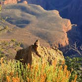 Review photo of Trailer Village RV Park — Grand Canyon National Park by Carlee S., May 28, 2025