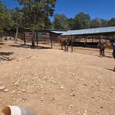 Review photo of Trailer Village RV Park — Grand Canyon National Park by Tinesha C., June 10, 2026