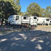 Review photo of Trailer Village RV Park — Grand Canyon National Park by Bill T., January 2, 2026