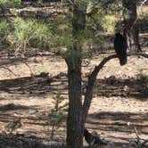 Review photo of Trailer Village RV Park — Grand Canyon National Park by Dwayne R., April 19, 2026