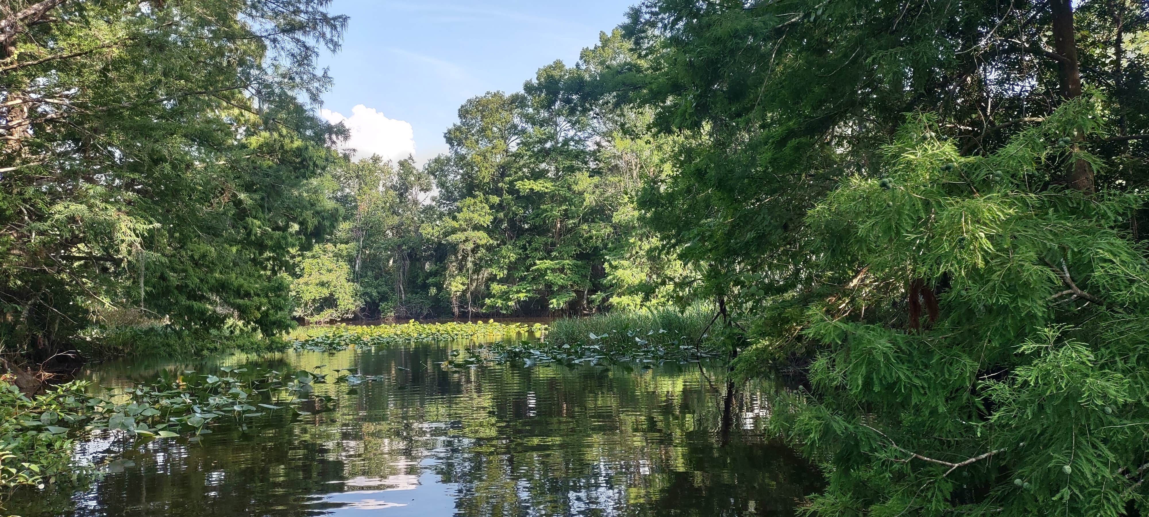 Camper-submitted photo at Trails End Fishing Resort near Lake Placid, FL