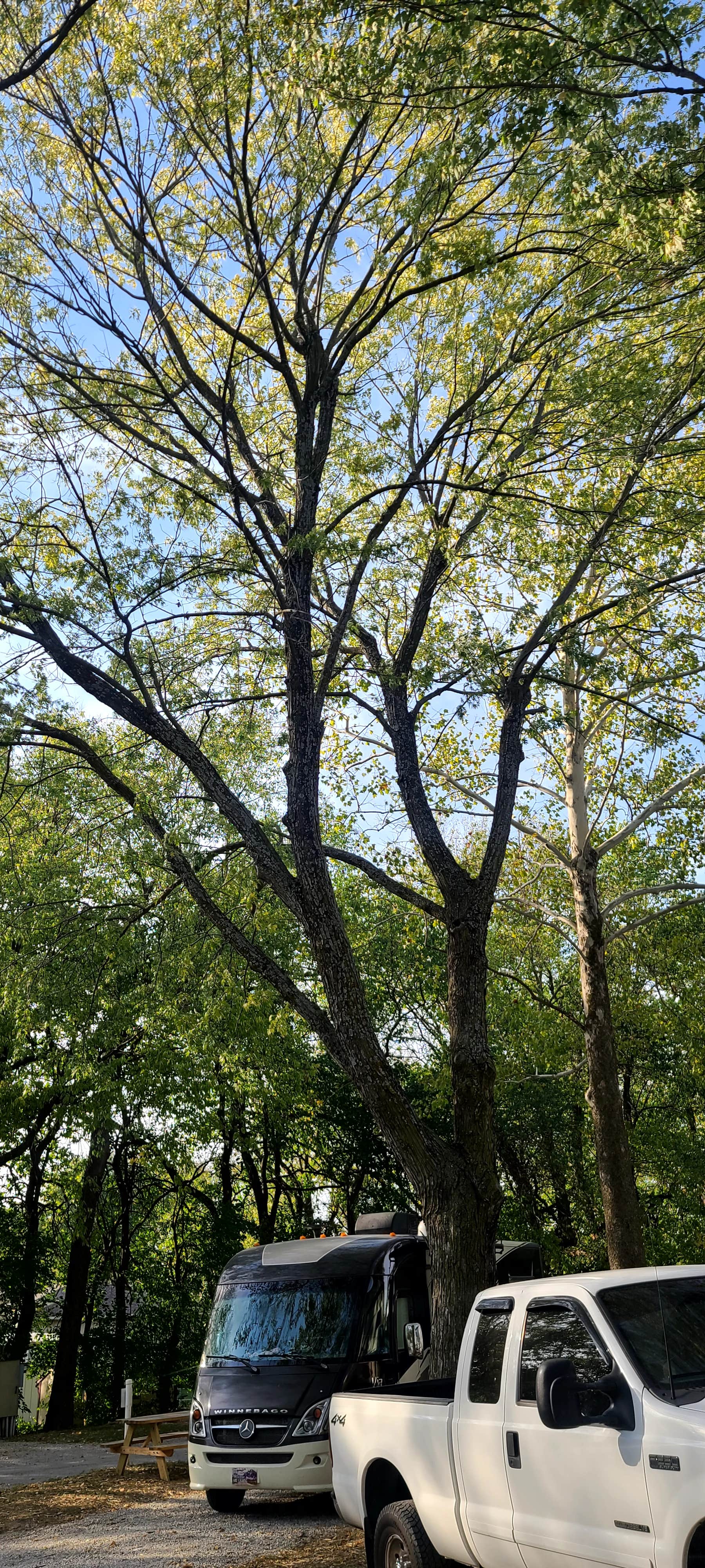 Camper-submitted photo at Trailside RV Park near Kansas City, KS